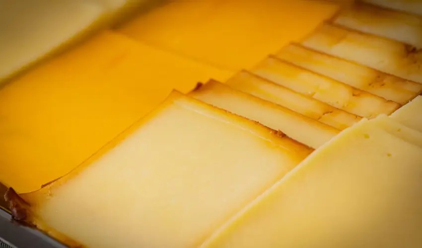 Bazilika alatti Panzi Esztergom