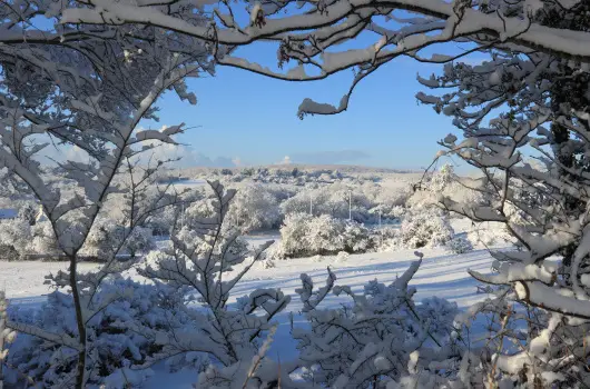Szpia Bio & Art Hotel, Zsmbk, Esztergom - 22 km