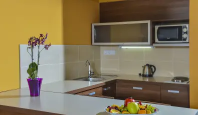 Royal Club Hotel Visegrd