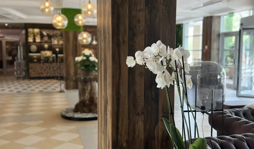 Thermal Hotel Visegrád Visegrád