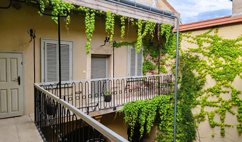 Vrosi Vendghz Szentendre Szentendre